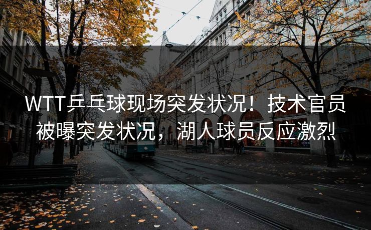 WTT乒乓球现场突发状况！技术官员被曝突发状况，湖人球员反应激烈